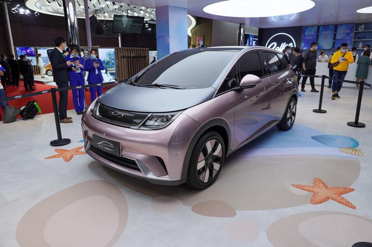 比亚迪海豚申报图曝光!2米7的亲民小车有几十种选装方案