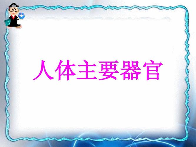 人体主要器官ppt