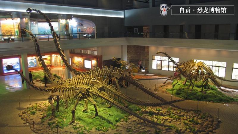 第一座专业性恐龙博物馆——自贡恐龙博物馆.jpg