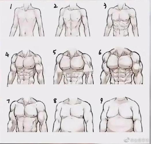 你喜欢哪种男性身材