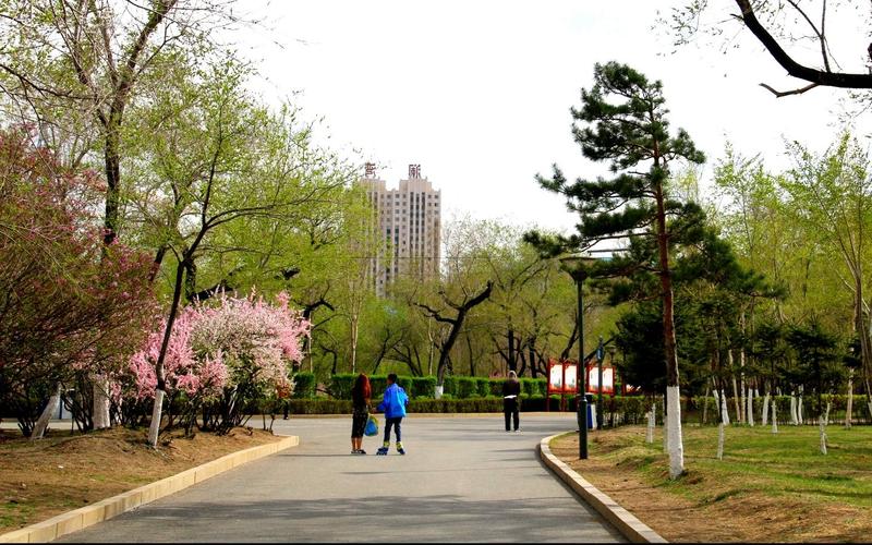呼兰西岗公园.