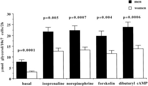 sex differences in visceral fat lipolysis and meta