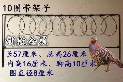 五金工具竹鸡门套工具白面水鸡套鹧鸪毛鸡竹鸡门套诱捕器绳套线套地套