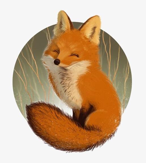 手绘 插画 卡通 狐狸