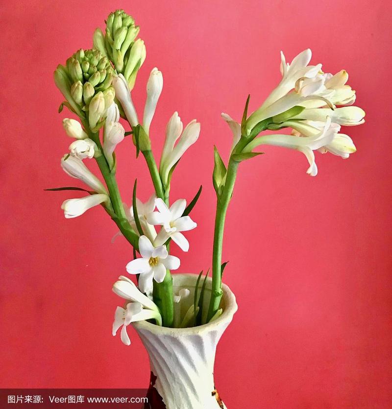 花瓶,晚香玉,花束,白色,芳香的