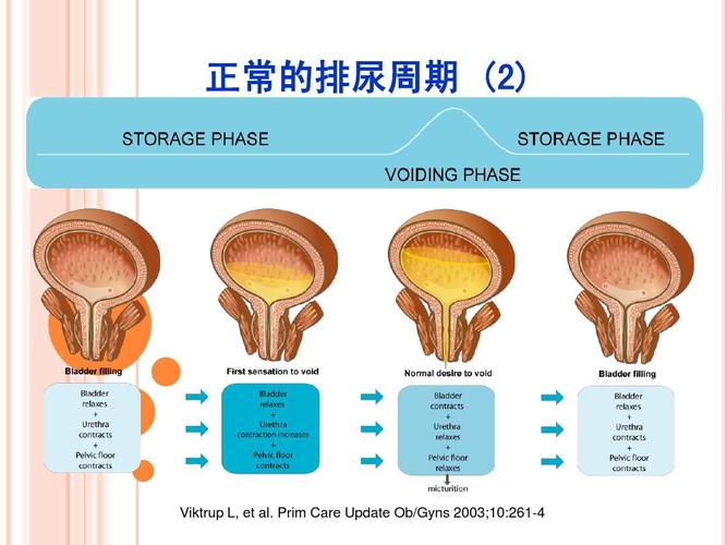 女性压力性尿失禁的诊断及鉴别诊断与尿动力学分析ppt