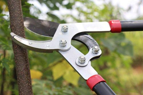 粗枝剪 厂家直销大力士剪大力剪园林果树剪树枝剪大弯刀省力修枝剪