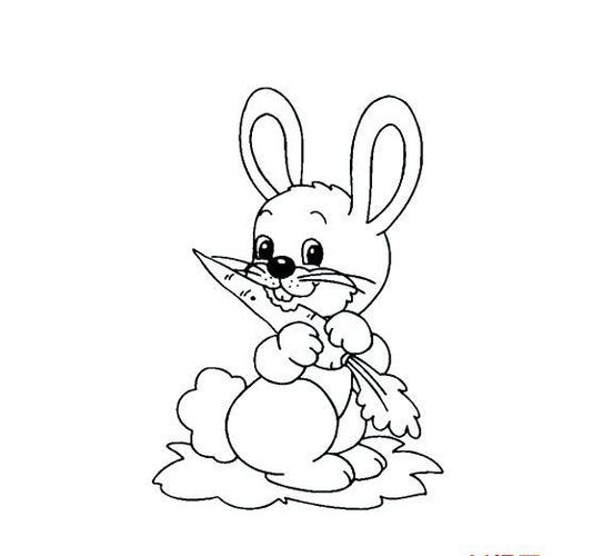 小白兔吃胡萝卜的画法卡通动物简笔画