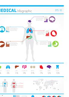 人体构造医学图表