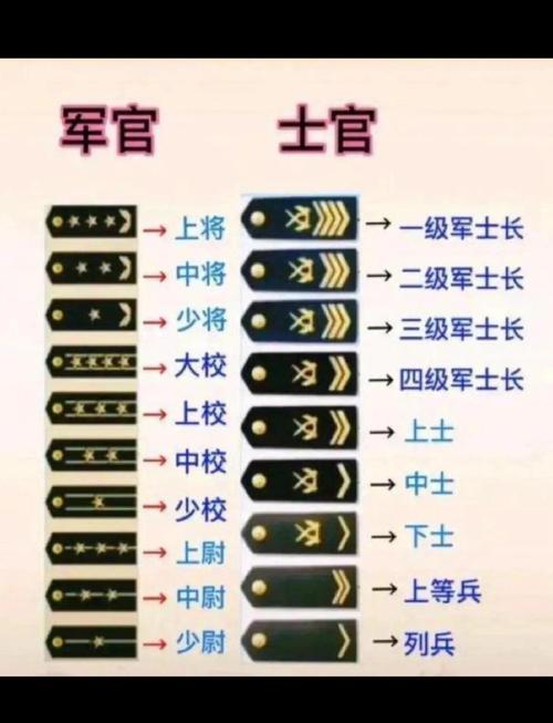 军官和士官的等级划分详解�️ 从低到高的顺序 排长:负责约30