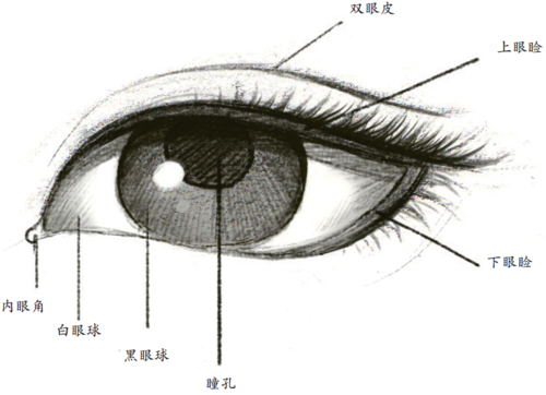 别有一番风韵藏在水彩中的古风人物眼睛画法一涂一描就征服了无数人