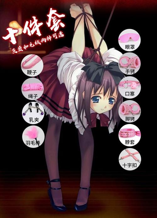 情趣毛绒十件套 成人性玩具捆绑束缚另类夫妻调情用品一件代发