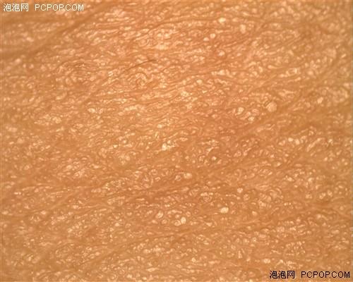 美女皮肤放大60倍 实战usb数码显微镜