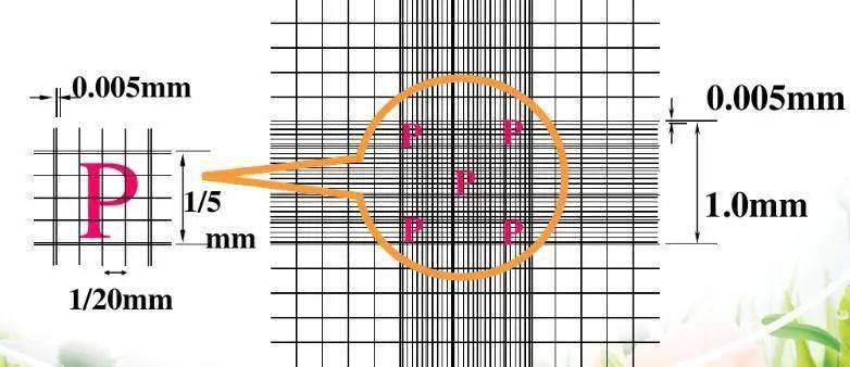重温血小板手工计数法