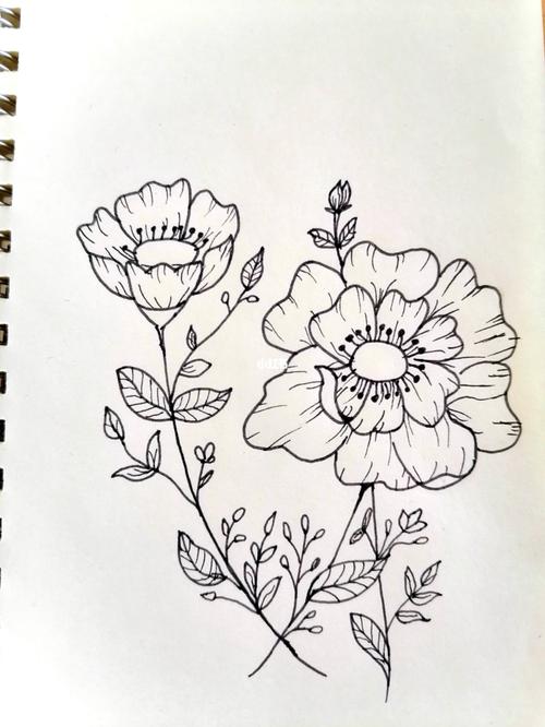 黑白画花(11/30)_黑白画_文化_绘画