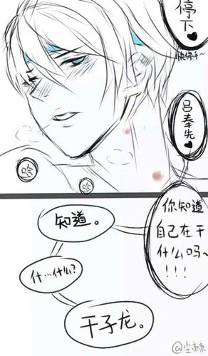 王者荣耀 短漫 吕布x赵云