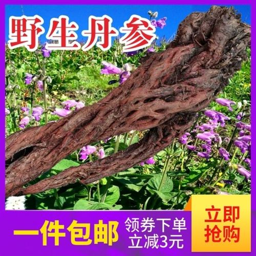 甘肃特级野生丹参500g克包邮深山采挖中药材紫丹参片
