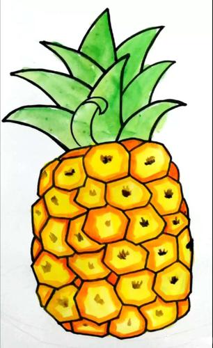 2,水粉上色,首先用淡黄色平铺整个菠萝,草绿平铺菠萝叶子.