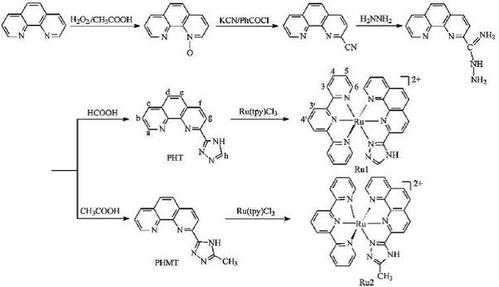两种三齿多吡啶配体钌化合物与dna的相互作用研究