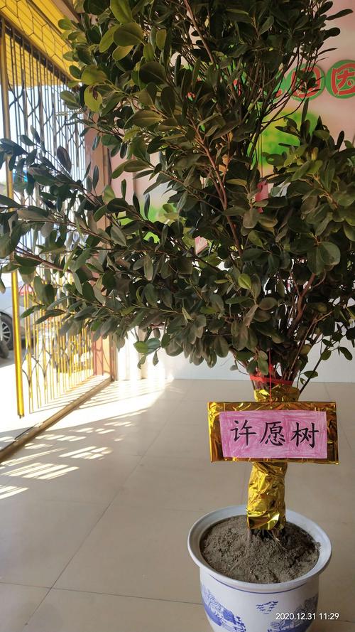宝贝们来到了许愿树,把自己精心制作的许愿卡片挂到了许愿树上!