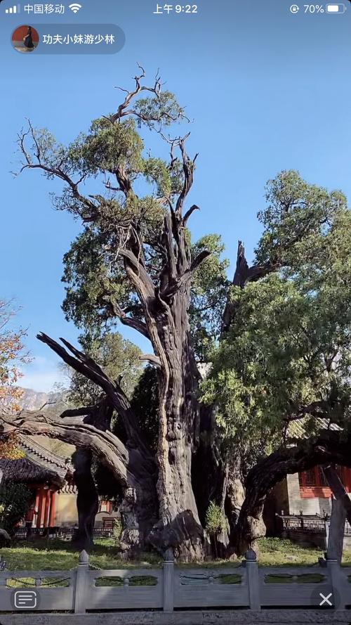 四大书院之一:嵩阳书院(相当古时高等学府)