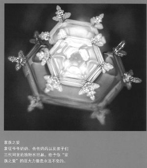 看到"夫妇爱"的水结晶被置之不理的那些水结晶形状非常散乱偶尔被夸"