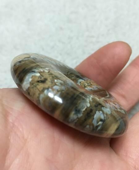 猛犸臼齿 猛犸象 臼齿 平安扣 槽牙