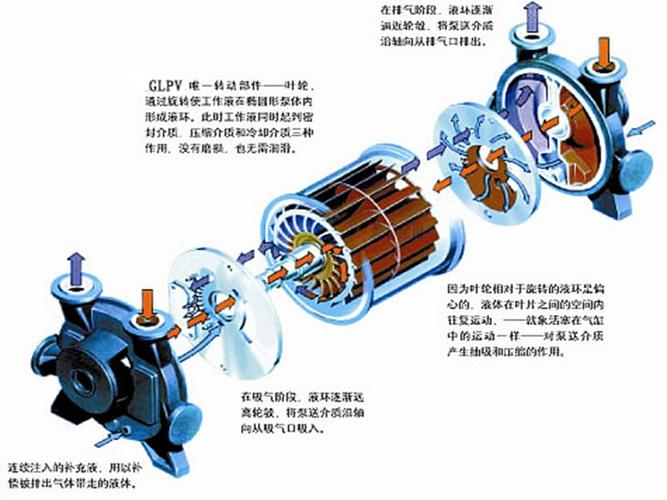 液环真空泵及工作原理.ppt