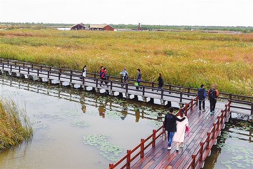 杭州湾湿地公园