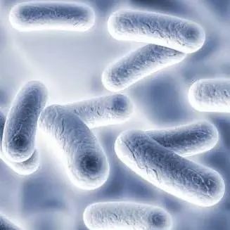 肺结核 结核分枝杆菌 新冠肺炎 新型冠状病毒 所构伤情 肺结核 新冠