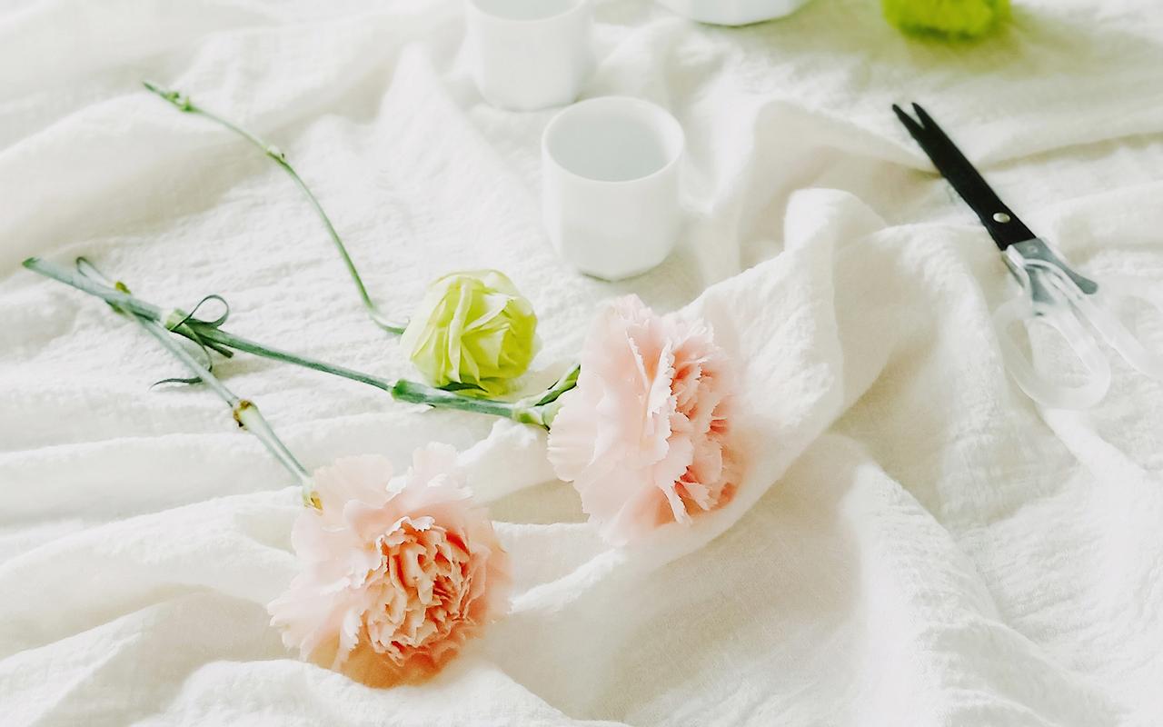 简约小清新静物图片电脑桌面壁纸