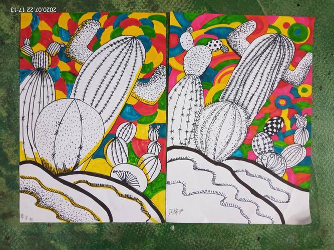 五,六级画《植物写生》线描《沙漠中的仙人掌》