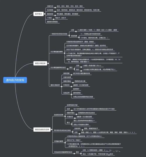 遗传因子的发现