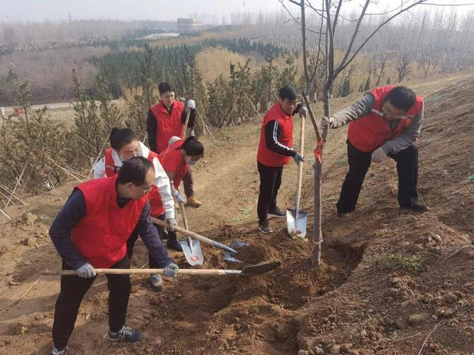 植树护绿添新颜,绿满淄博我先行——市委编办开展植树节志愿服务活动