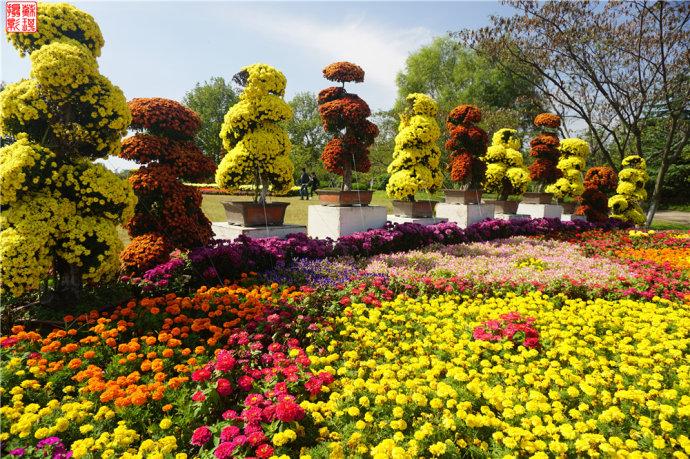 秋游合肥植物园【索尼微单a6000试拍】