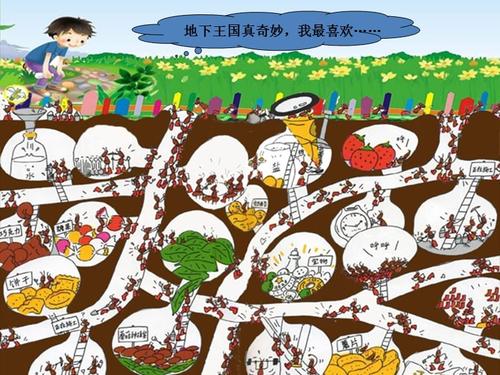 《蚂蚁的巢穴》课件.ppt