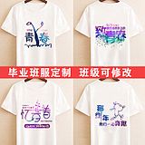 运动会班服定制文艺中国风水彩全身印毕业衫文化广告衫同学聚会服