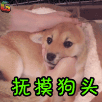 抚摸狗头gif狗gif撩gif萌宠gifsoogifgifsoogif出品gif