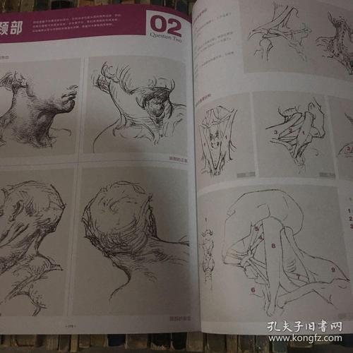 速写:解读伯里曼