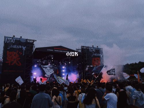 溧阳·太湖·迷笛音乐节_音乐节_太湖_草莓_帐篷营区