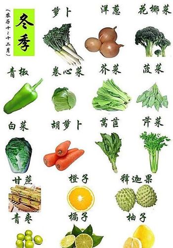 蔬菜的品种及名称大全