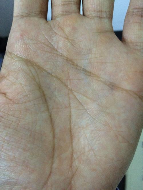 男左手智慧线开叉 表示什么?