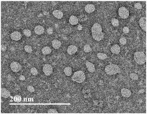 一种吡咯咪唑聚酰胺脂质体及其制备方法及其用途与