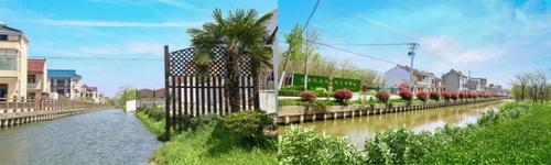 书院镇路南村荣获"2019年度上海市农村社区建设试点示范村"称号!
