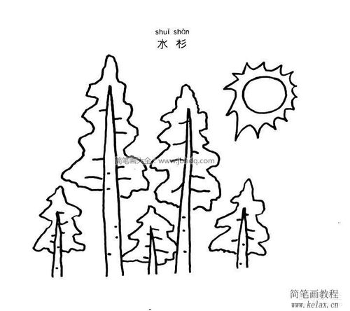首页 植物简笔画 大树简笔画 > 水杉简笔画 水杉简笔画 tags: 水杉