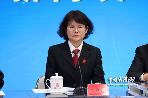 最高人民法院民四庭副庭长 沈红雨