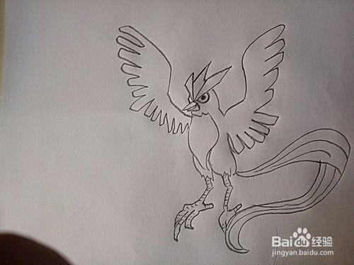 现在小编带大家画一画急冻鸟的简笔画. 百度