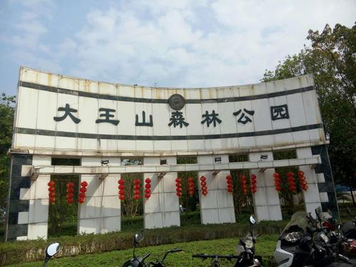 郁南大王山森林公园
