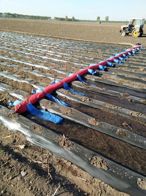 共250 件浇地水管接头相关商品