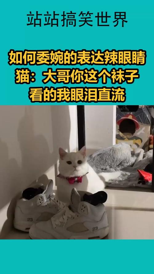 我要上热门如何委婉的表达辣眼睛猫大哥你这个袜子看的我眼泪直流
